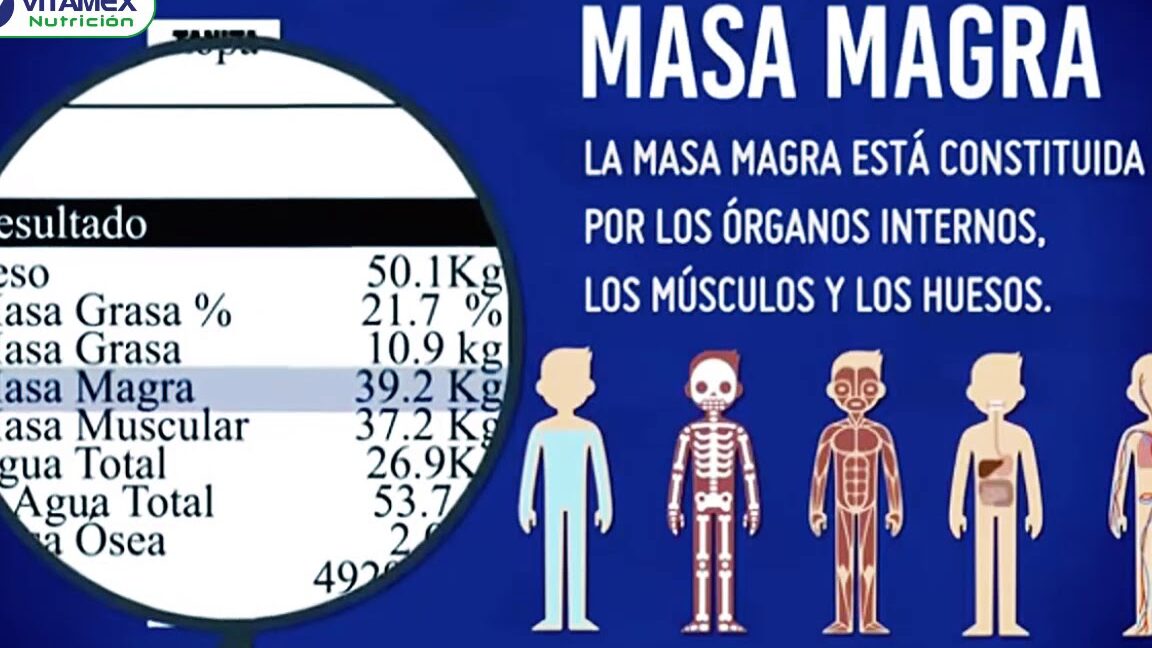 Diferencias entre masa muscular magra y masa muscular. - iFitness