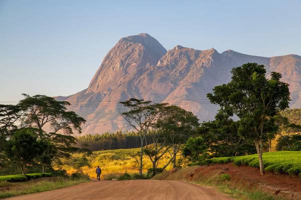 Malawi shutterstock_1441818824.jpg