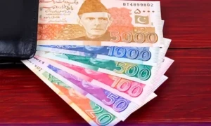 New currency notes to enter circulation in 2025, confirms SBP governor