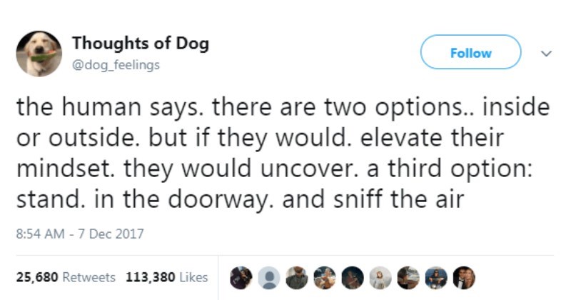 funny dog tweet about standing at the door