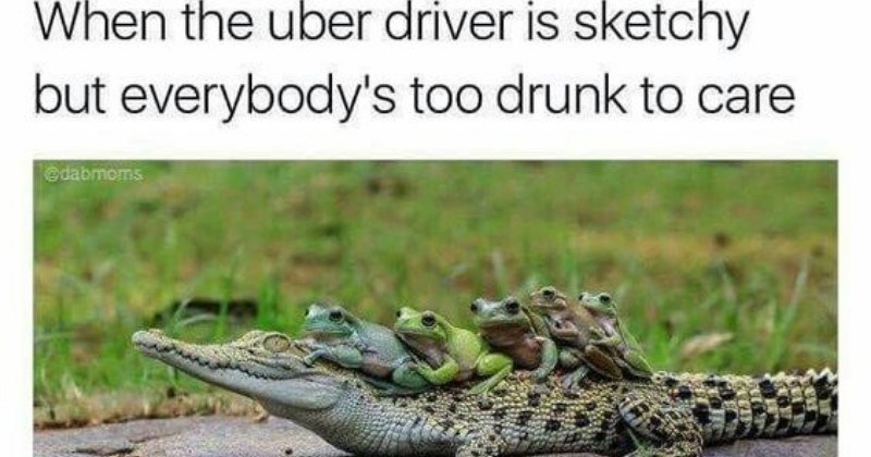 funny animals that are using uber or other forms of mobility as a service product offering