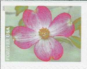 Stamp: Pink Dogwood (United States of America(Garden Flowers (2021)) Mi ...