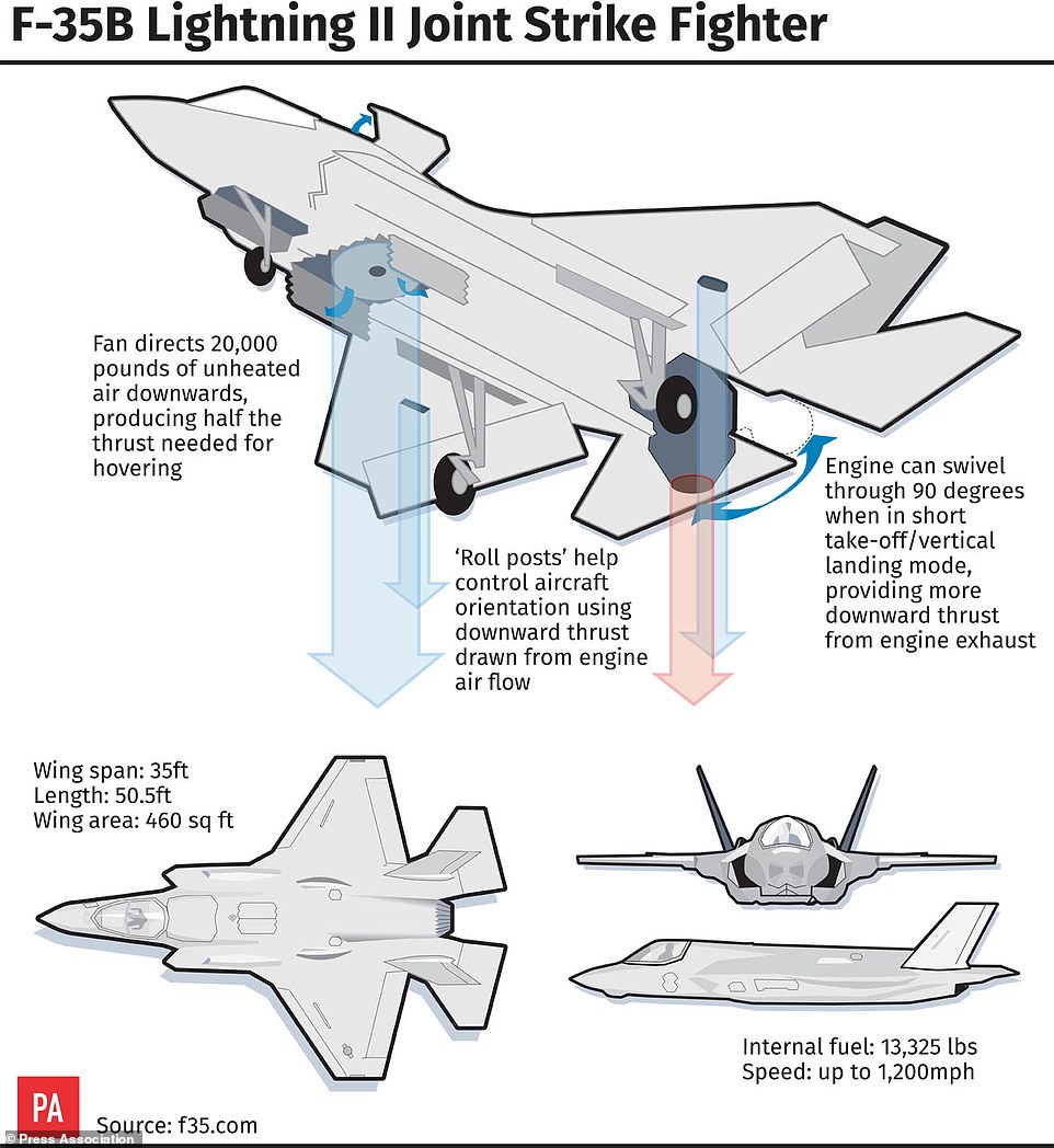 Flying machine: This graphic shows the specs of the multimillion-dollar stealth fighter F-35B Lightning II