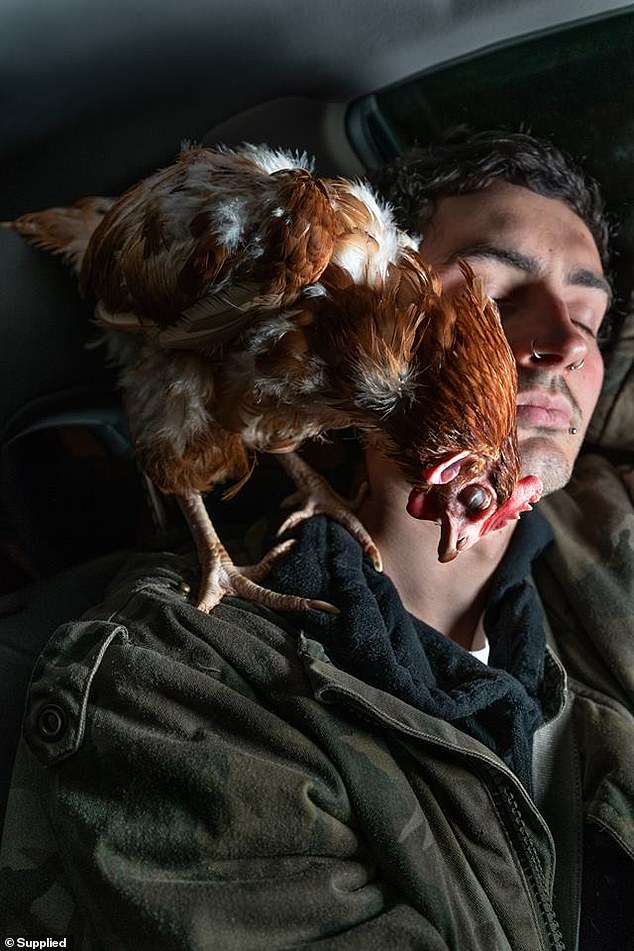 The women drove away but began 'feeling guilty' they had only managed to save eight chickens out of hundreds