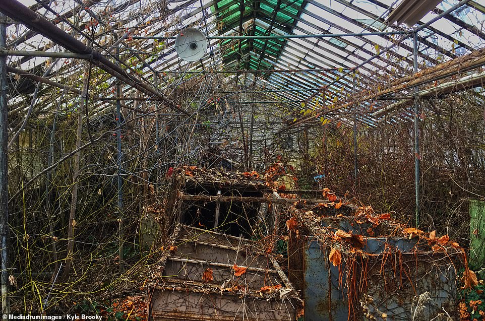 Plants from the old prison greenhouse make a bid for freedom