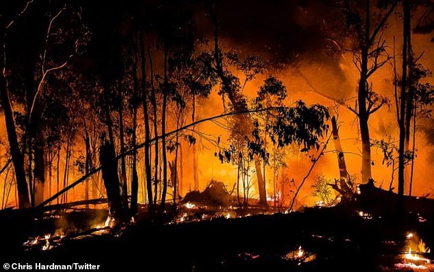 Chief Fire Officer Chris Hardman shared this picture to Twitter. "The message today if you are in Forests or Parks in East Gippsland time to Leave Now, the large fires in the landscapes will get much bigger tomorrow," he wrote