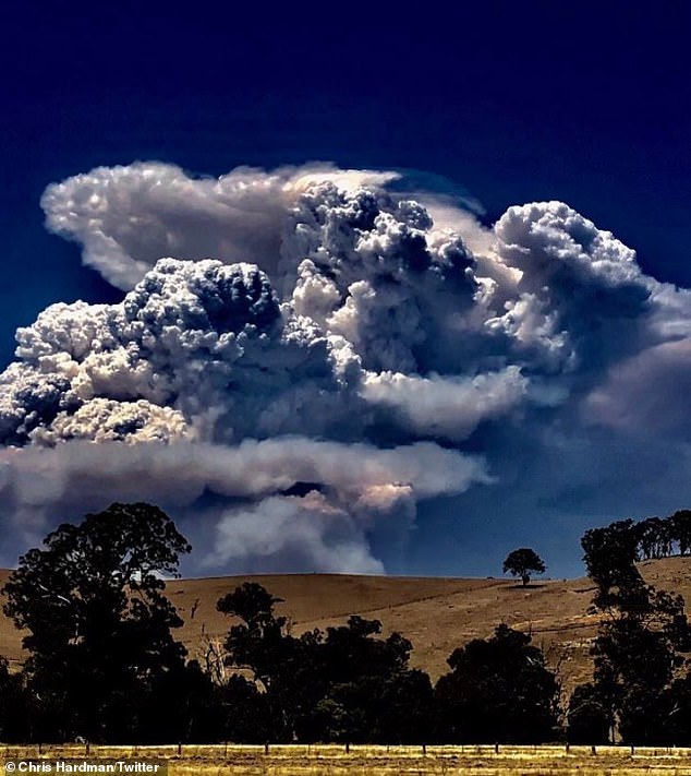 Pictured: Plumes of smoke rise amid the catastrophic East Gippsland bushfires