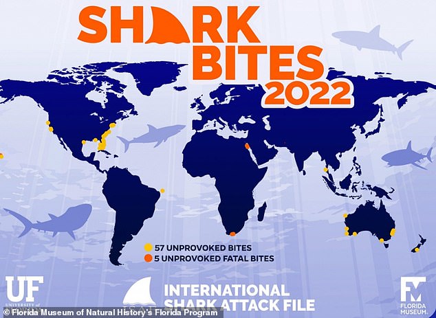 World's shark attack hotspots REVEALED: Map reveals the areas with the ...