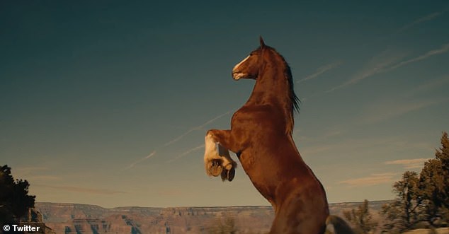 In response to the backlash, Bud Light was criticized for over-compensating with overtly patriotic marketing to try and right the ship