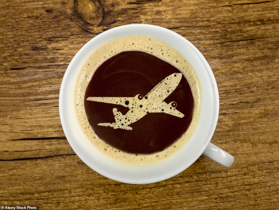 The flight attendant then detailed the way in which cabin crew members clean coffee pots. 'For me it's always been the way that flight attendants have to clean out coffee pots,' he said. Then, Kevin noted that they have to empty coffee pots in the 'toilet.' 'For whatever reason, we are not supposed to empty coffee pots in drains, we are supposed to dump it down a toilet. So when you take a coffee pot and dump it in a toilet, in order to not make a huge mess everywhere, you kind of have to get a little close to the toilet and I imagine that there is some kind of backsplash of particles of bacteria that goes directly back into the coffee pot, which gets put right back into the coffee maker,' he explained.