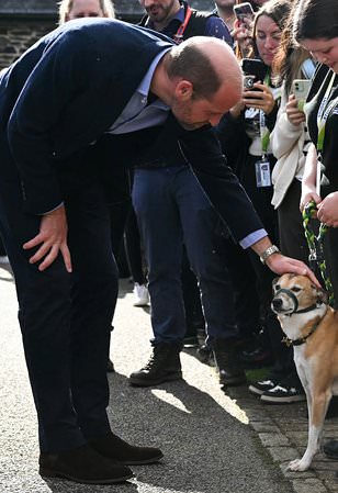 Adorable moment Prince William pets a very excited dog during his visit to Cornwall