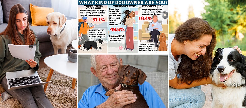 What kind of dog owner are YOU? Scientists say all pooch parents fit into three distinct