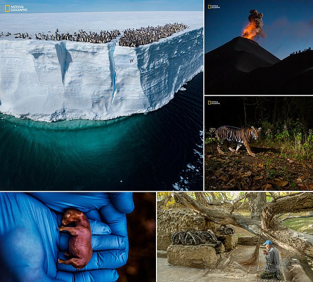 'Photos that capture the wonders of our world': National Geographic reveals the best