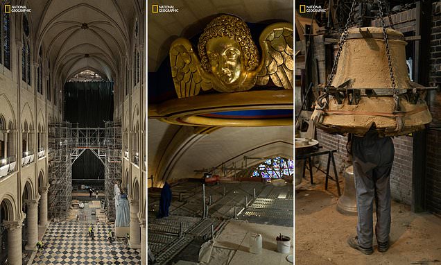 Notre-Dame rises from the ashes after the devastating fire: Fascinating images reveal the