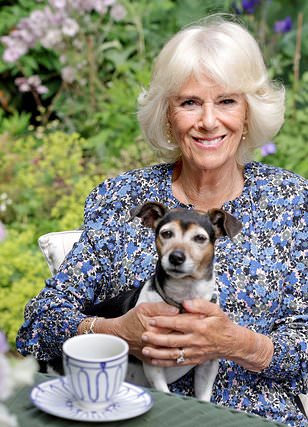 King Charles and Queen Camilla to get a NEW rescue dog after the death of beloved Beth -