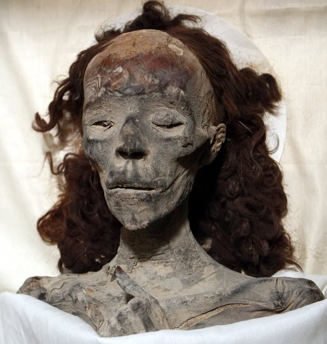 Face of King Tut's grandmother is reconstructed using her 3,400-year-old remains