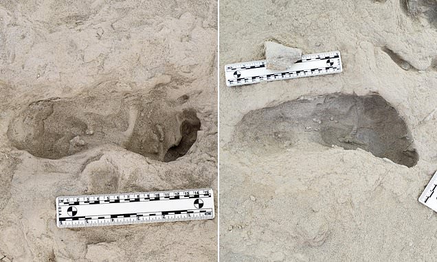 Footprints left 1.5mn years ago in Africa reveal secrets about human evolution