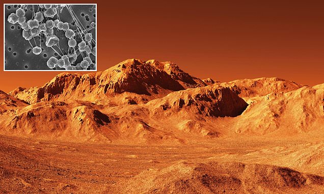 Scientists make discovery on Mars that could reveal alien life