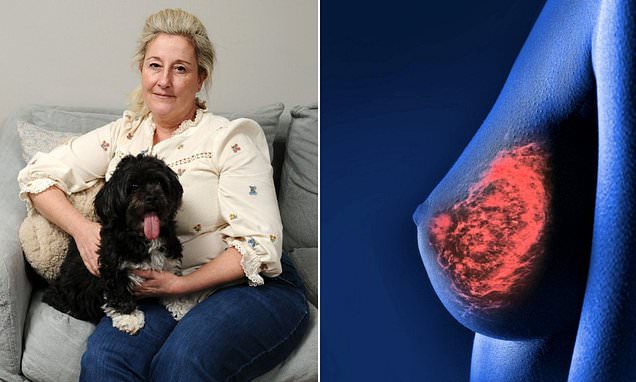 How a mammogram missed cancer that's now incurable: Doctors reveal the types that are