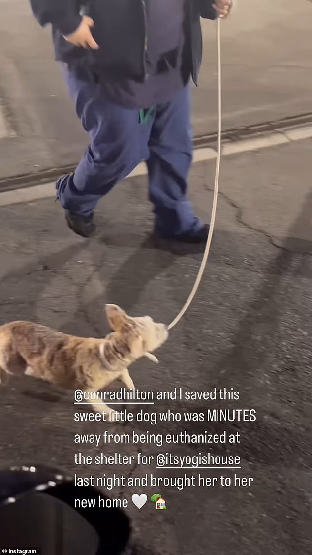 The brief video showed the pup being walked out of the shelter and into the parking lot on a leash by a member of shelter staff