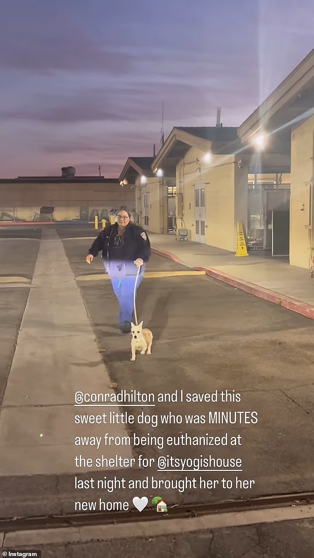 Kenney shared footage of the dog's freedom walk via her Instagram Story on Tuesday