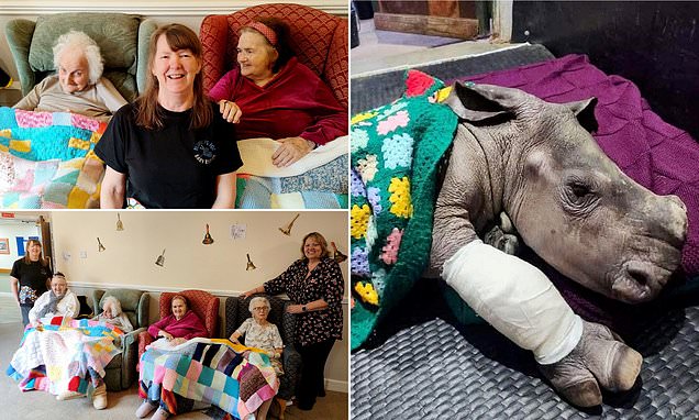 Knitting grannies save baby rhino fighting for its life with blanket they made in their