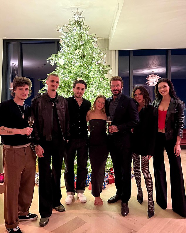 The Beckhams pictured at Christmas - L-R is Cruz, Romeo, Brooklyn, Harper, David, Victoria and Nicola Peltz