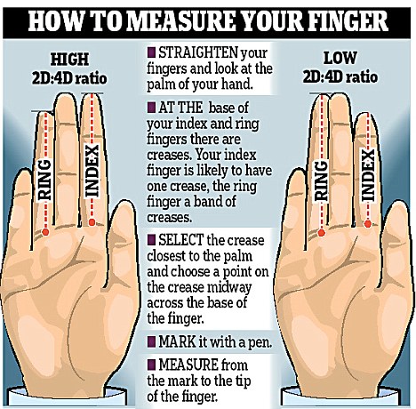 Pointing the finger: Scientists have noticed a relationship between finger measurements and a host of unrelated traits