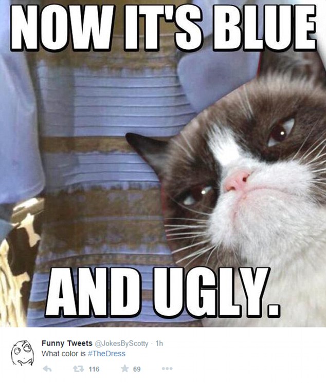 Unimpressed... again: Online animal superstar Grumpy Cat makes an appearance in two #TheDress memes