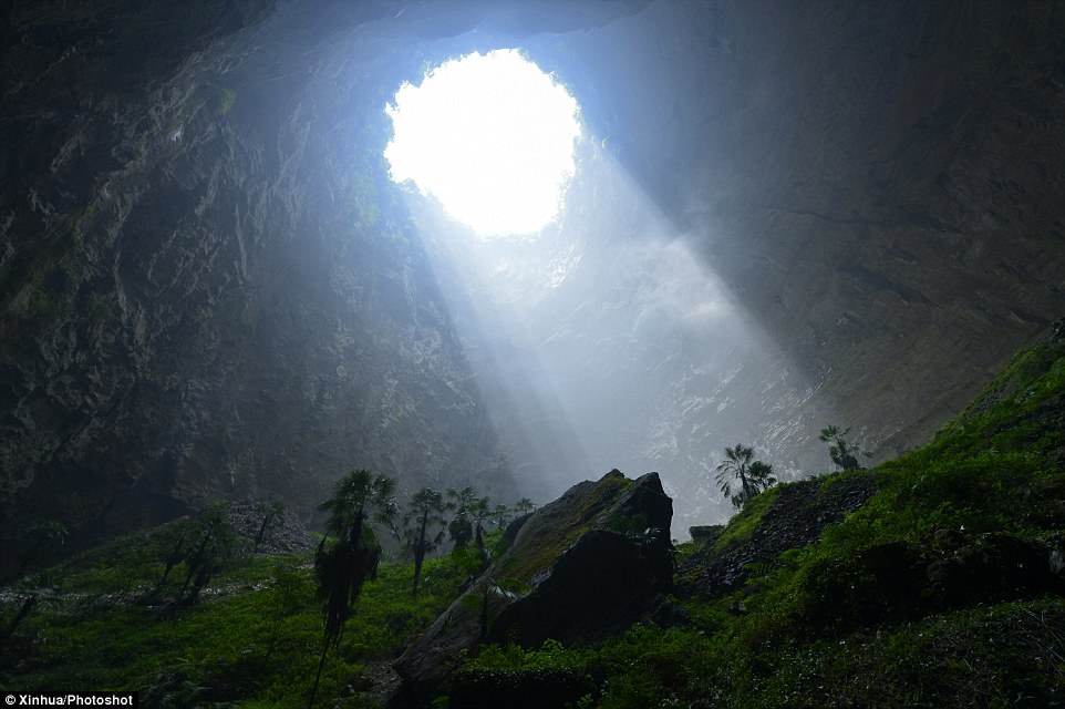 Paradise: Nearly 100 acres of lush vegetation has been found inside a cave in the mountainous region of Hubei in central China