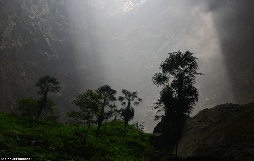 Hidden away: The fully independent ecosystem, which even contains streams, benefits from the natural protection of the cave 