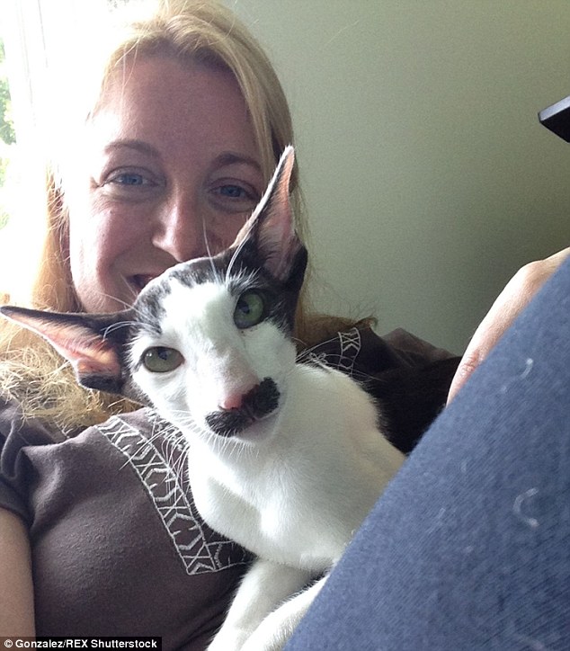 Another favorite: Teddy is in good company - because Ms Gonzalez owns another internet favorite: Stache Cat (pictured with his owner), who hit the headlines last year due to his black moustache-like upper lip marking