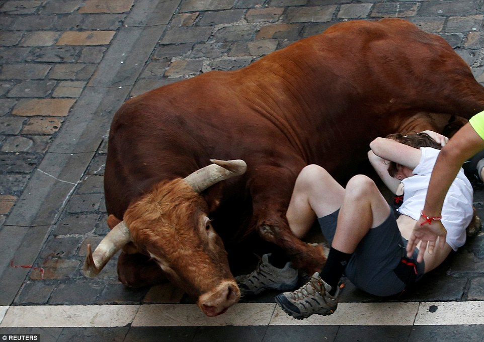 A  bull falls next to a runner along Estafeta street, with the runner desperately covering his head for protection