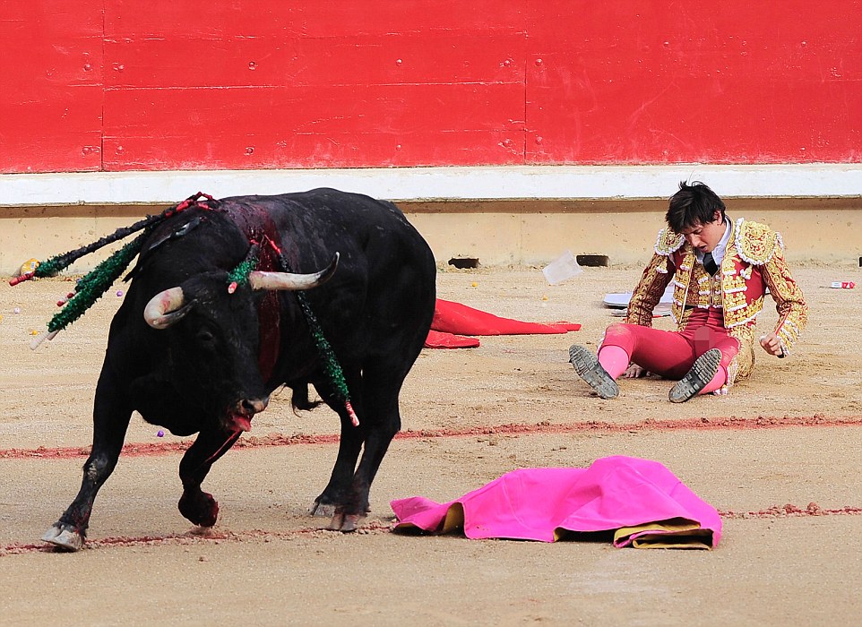 Peruvian matador Andres Roca Rey sits on the ground after being gored by a  bull in a most unfortunate area of his body