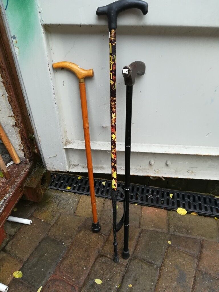 Walking Sticks x 3 Different | in Havant, Hampshire | Gumtree