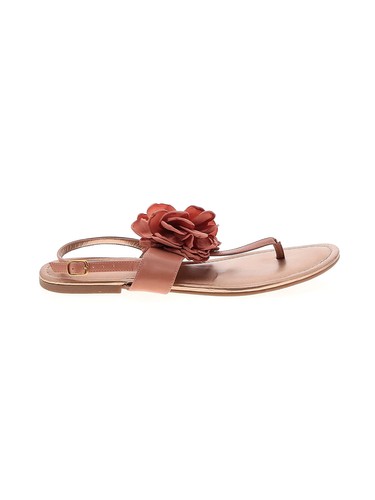 BCBGirls Women Brown Sandals 10 Plus