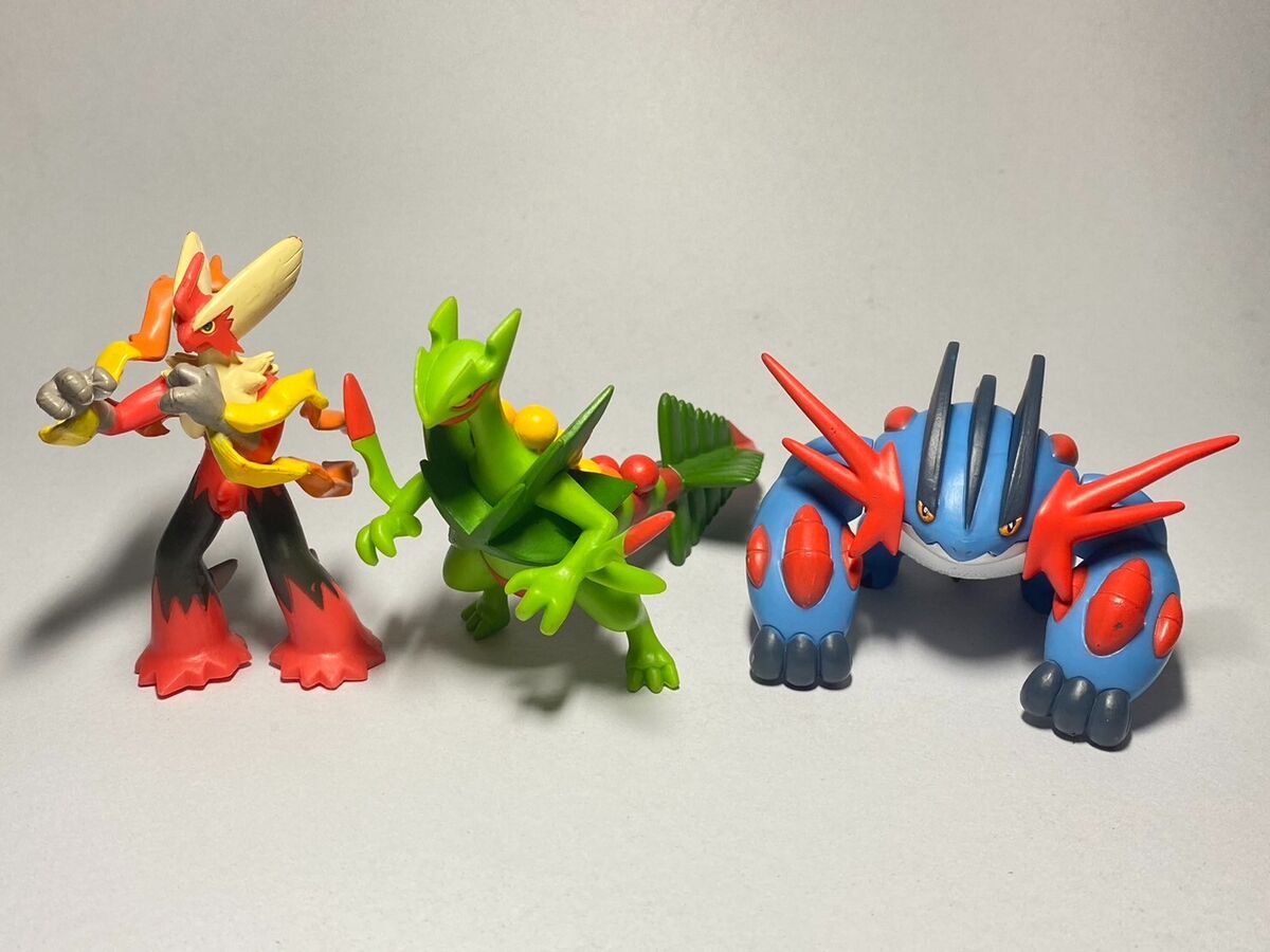 Sceptile Blaziken And Swampert Car