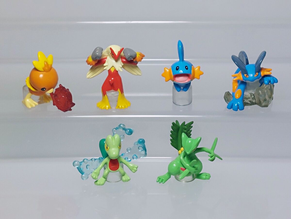 Sceptile Blaziken And Swampert Car