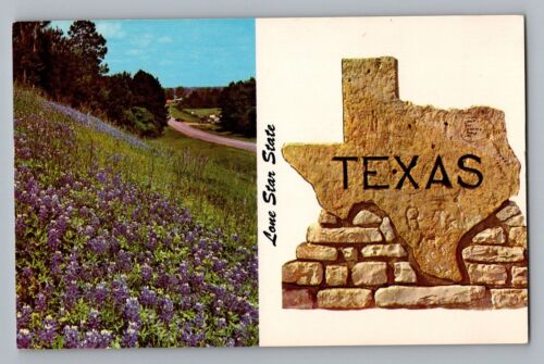 Texas TX State Flower Bluebonnet State Sign Postcard 1950s | eBay