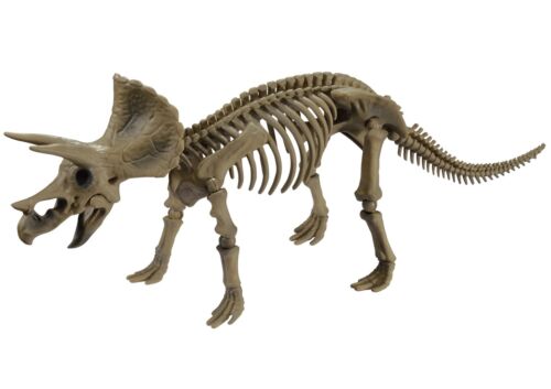 Pose Skeleton Dinosaur Series 102 Triceratops 135 x 215 x 70mm Japan | eBay