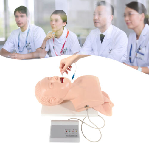 Adult Teaching Model Lab Intubation Manikin Airway Management Trainer ... image.