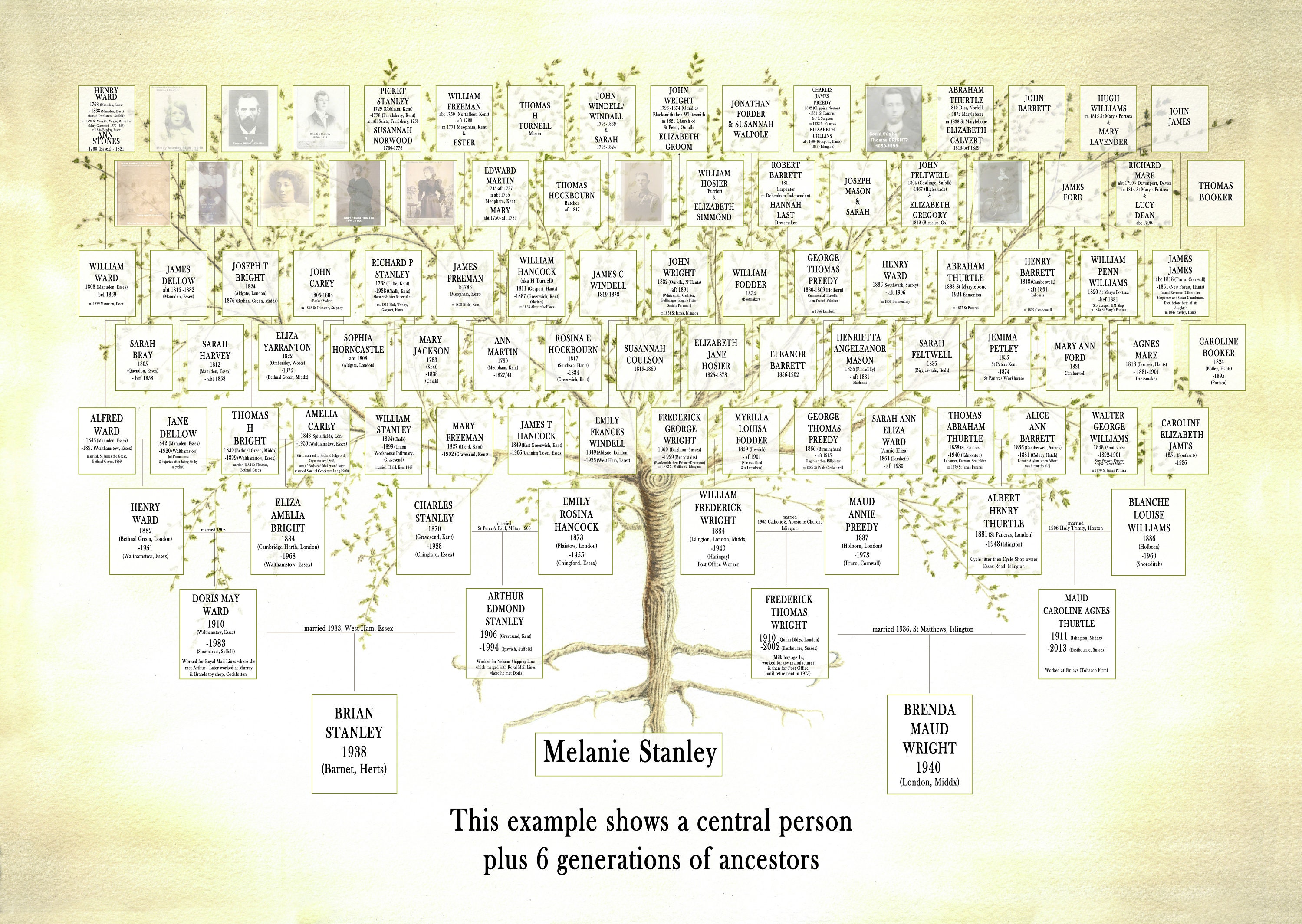 Ancestry Family Tree Chart