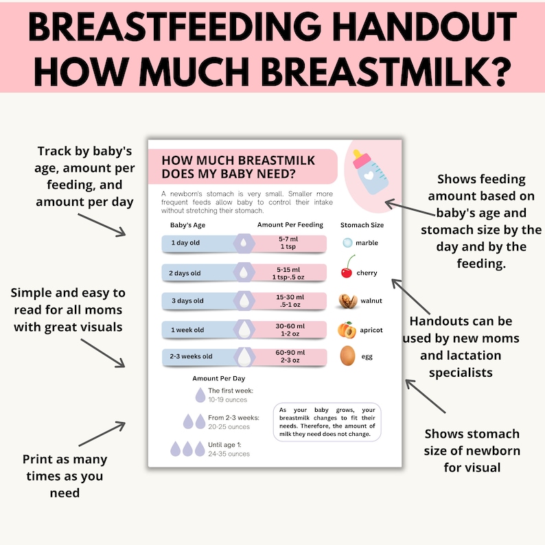 Newborn Breastfeeding Education Digital PDF How Much Milk Does Baby ...