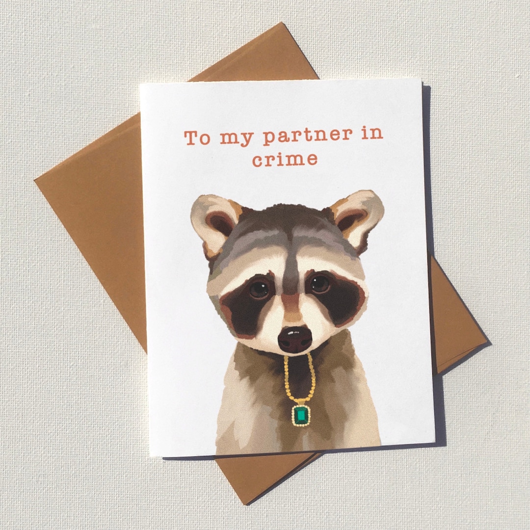 Raccoon Love Card, Eco Friendly and Plastic Free, Funny Pun Valentines ...