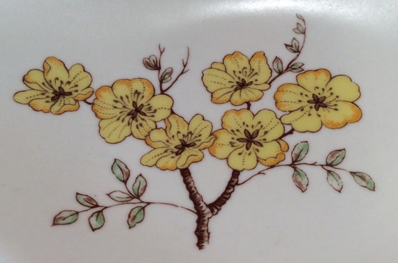 Carlton Ware Mimosa Pin Dish: Đĩa đựng kim cương Carlton Ware Mimosa Pin Dish là một tác phẩm tinh xảo, được làm bằng tay với đường viền và những đóa hoa mimosa nổi bật. Nó là một món quà tuyệt vời dành cho những người yêu thích nghệ thuật và phong cách.