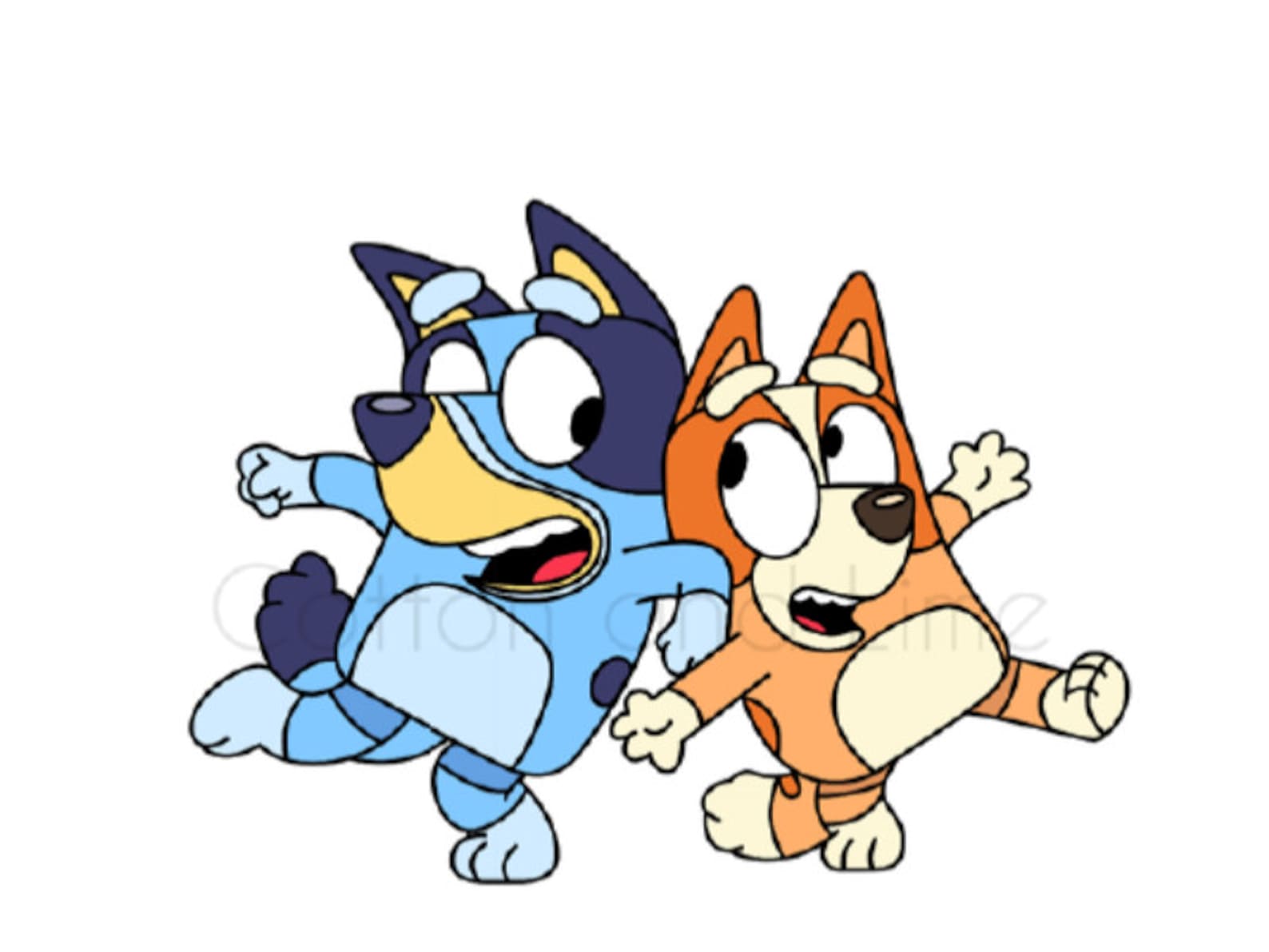 Bluey And Bingo Cartoon