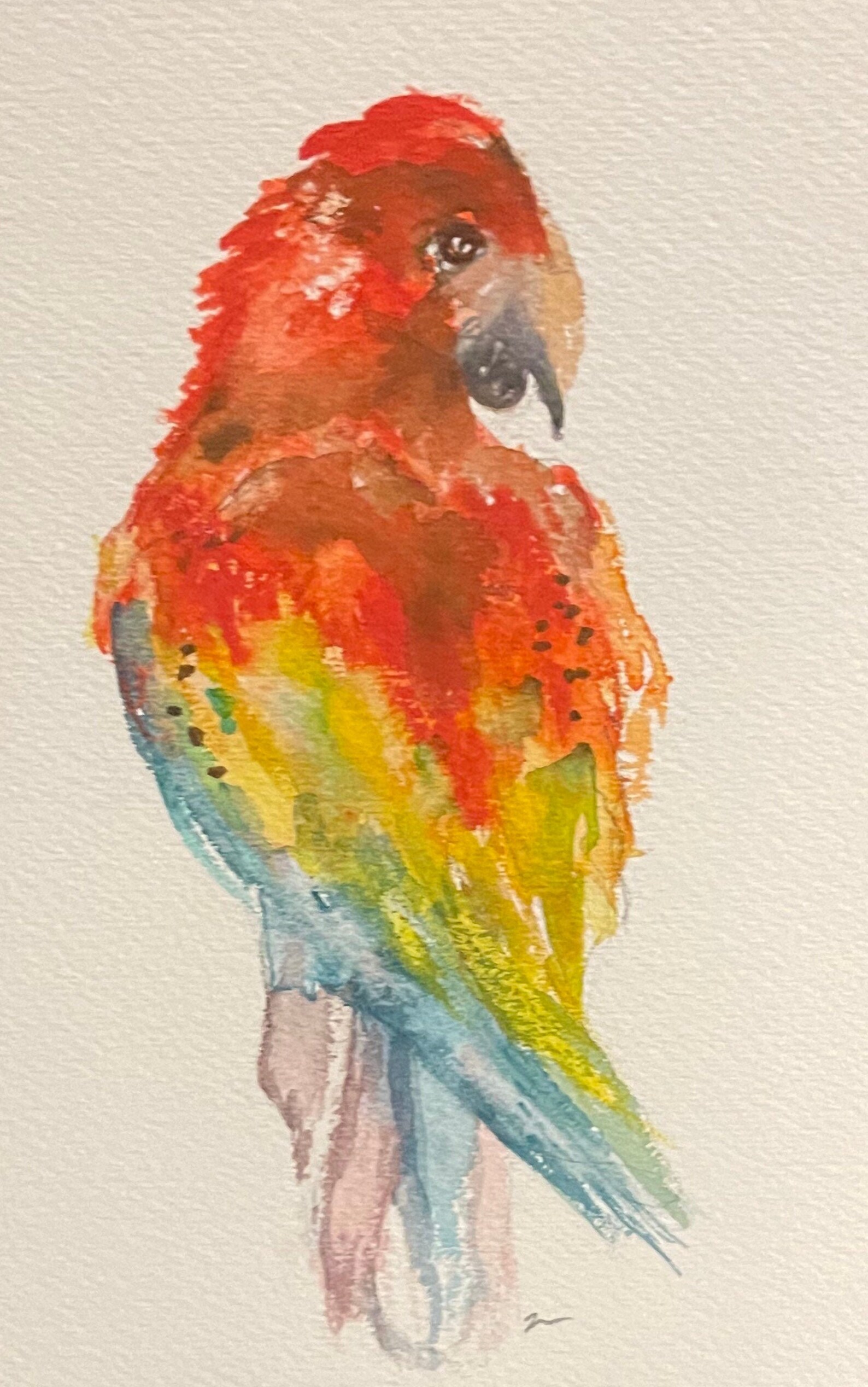 Original signed watercolor parakeet 4 x 6 | Etsy