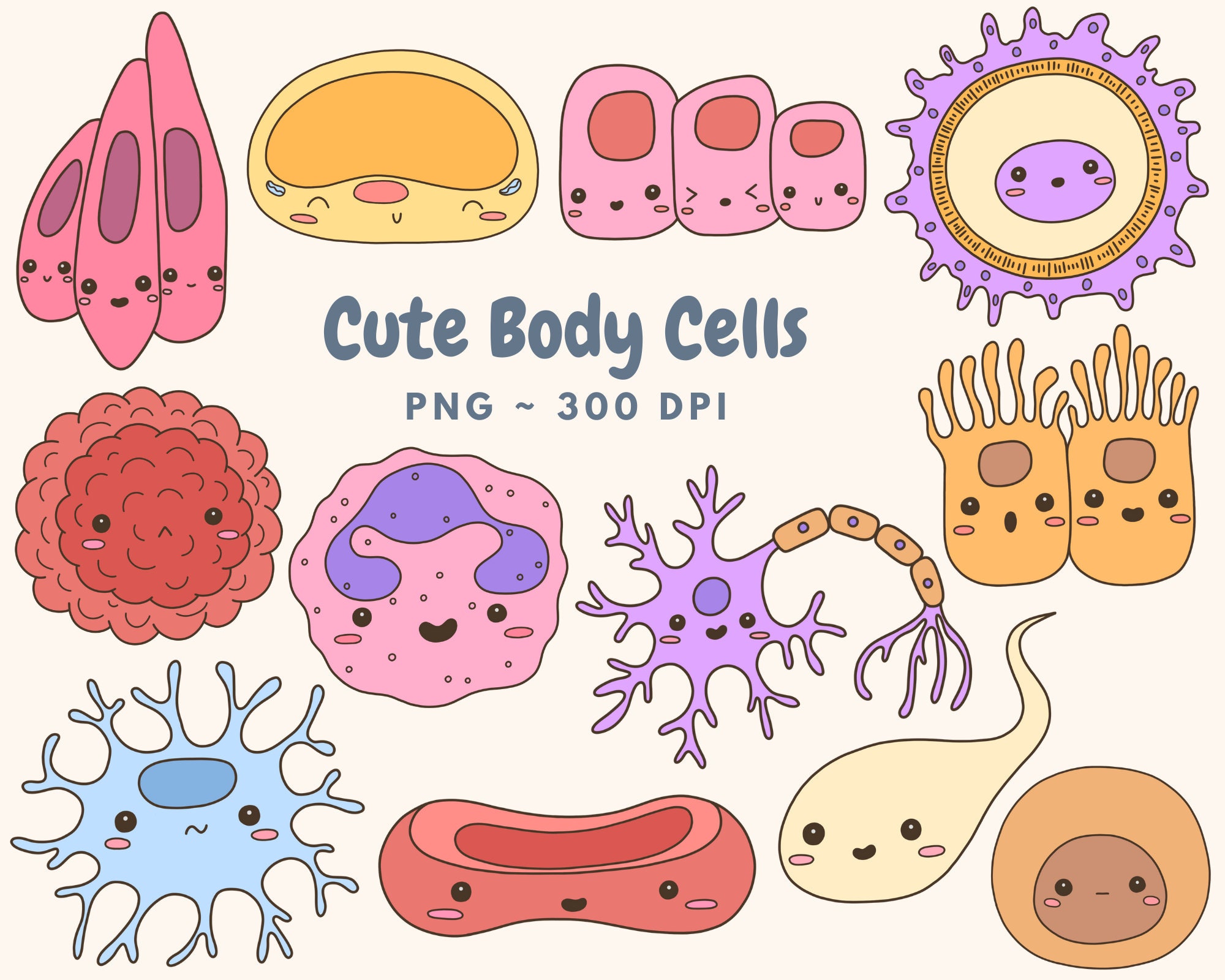 Cute Body Cells Clip Art Descarga digital, Biología Clip Art, Kawaii ...