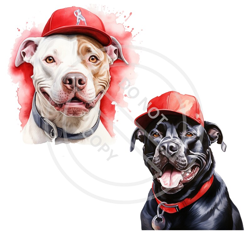 Pitbull PNG Clipart Bundle/pitbull Graphics/14 Pitbull Prints/300 DPI ...