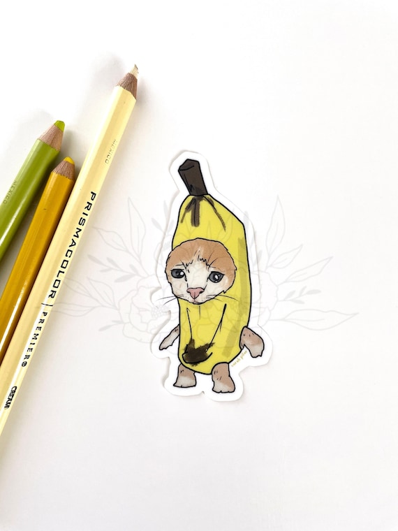 Sad Banana Cat Meme | informacionpublica.svet.gob.gt